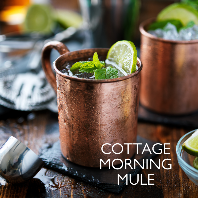 MOCKTAIL RECIPE - COTTAGE MORNING MULE