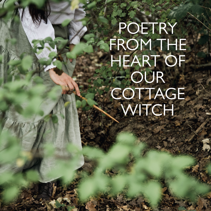 MUSINGS - Poetry from the Heart of Our Cottage Witch